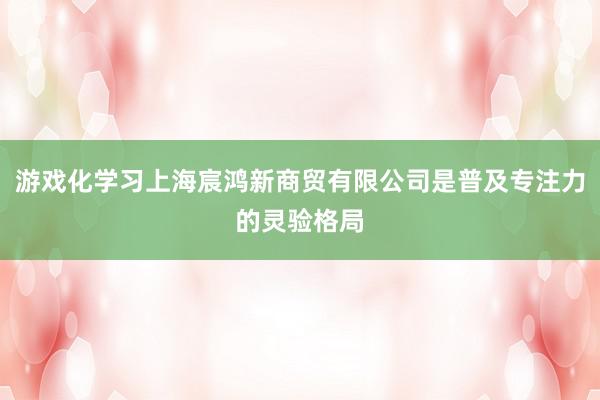 游戏化学习上海宸鸿新商贸有限公司是普及专注力的灵验格局